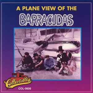 The Barracudas - A Plane View Of The Barracudas