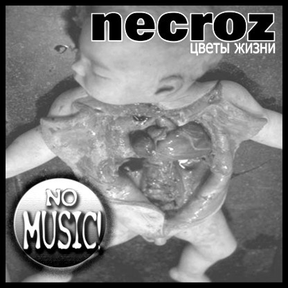 Album herunterladen Necroz - Цветы Жизни Flowers Of Life