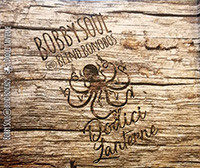 Album herunterladen Bobby Soul & Blind Bonobos - Dodici Lanterne