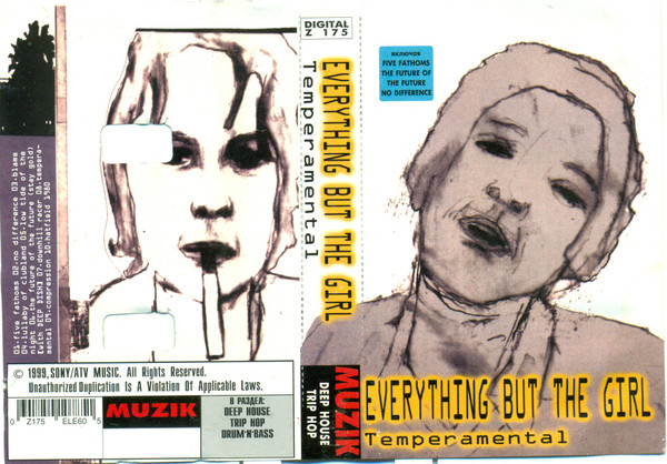 EverythingButTheGirl - Temperamental | Releases | Discogs