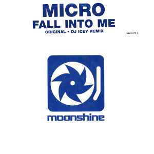 DJ Micro - Fall Into Me