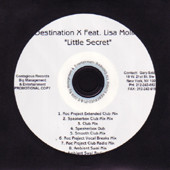 descargar álbum Destination X Feat Lisa Molina - Little Secret