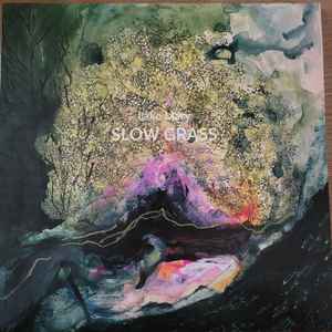 Lake Mary - Slow Grass album cover