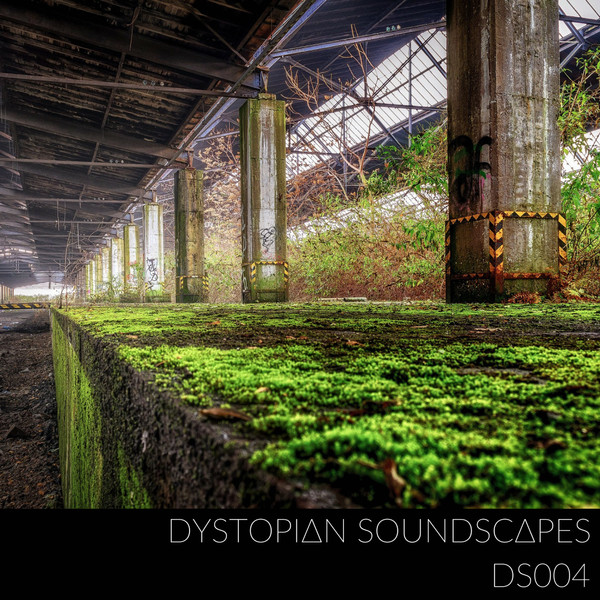 last ned album Dystopian Soundscapes - DS004