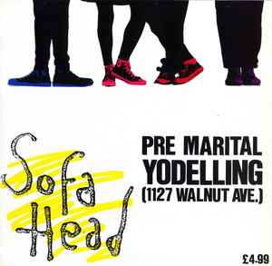 Pre Marital Yodelling (1127 Walnut Ave.) - Sofa Head