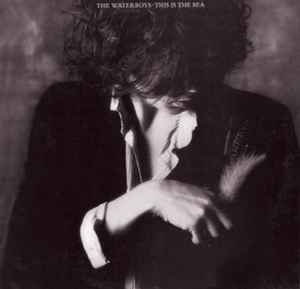 This Is The Sea - The Waterboys