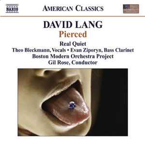 David Lang - Pierced album cover
