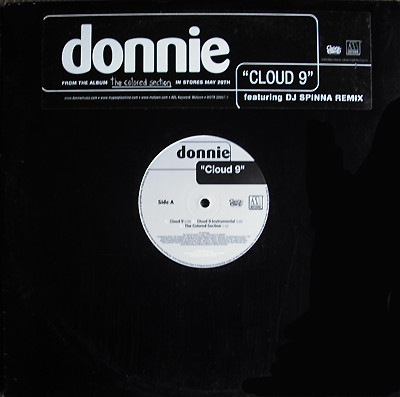 donnie/the colored section lp レコード - 洋楽