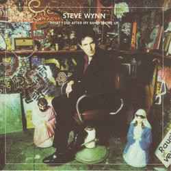 Steve Wynn - What I Did After My Band Broke Up (Best Of 1990-2004) / Visitation Rights album cover
