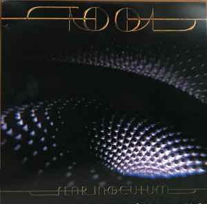 Tool – Fear Inoculum (2022, Vinyl) - Discogs