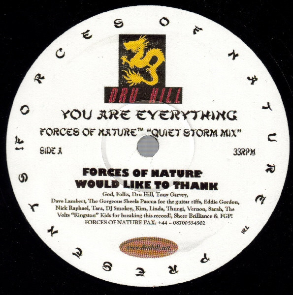 Dru Hill - You Are Everything | Releases | Discogs