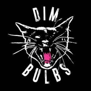 Dim Bulbs - Rib's House album cover