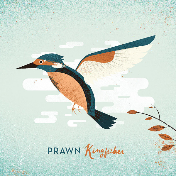 Kingfisher by Prawn