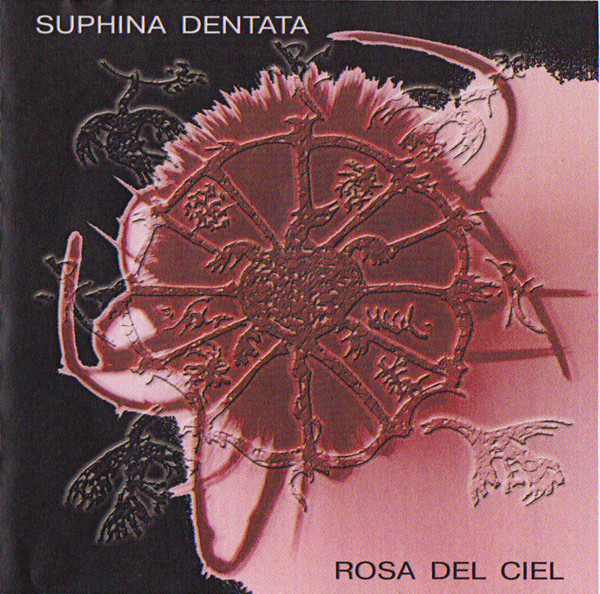 baixar álbum Suphina Dentata - Rosa Del Ciel