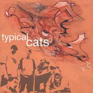 Typical Cats - Typical Cats: LP, Album For Sale | Discogs