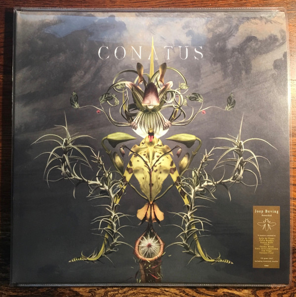 Joep Beving – Conatus (2018, CD) - Discogs