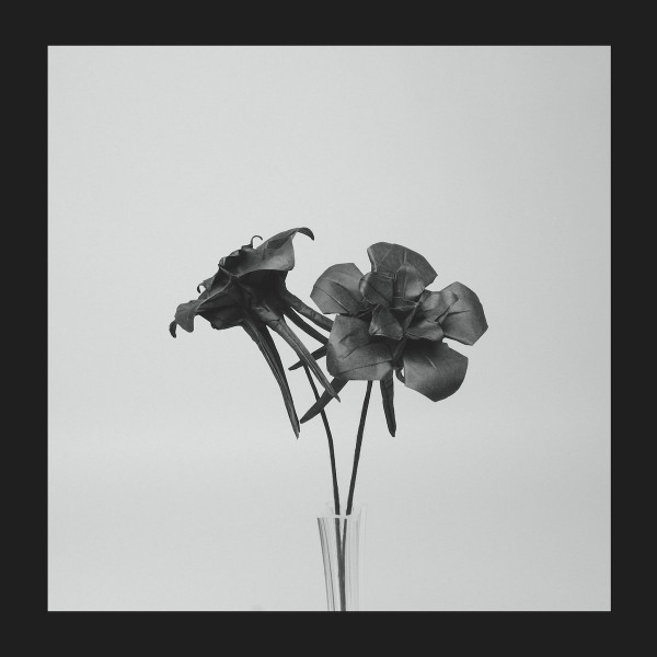 Album herunterladen Jlin - Dark Lotus