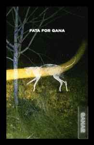 Antanas Dombrovskij - Fata For Gana album cover
