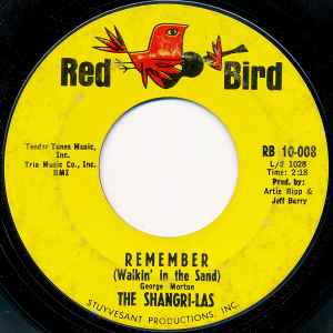 The Shangri-Las - Remember (Walkin' In The Sand) album cover