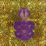 Cover of Amanita, 1996-04-09, Vinyl