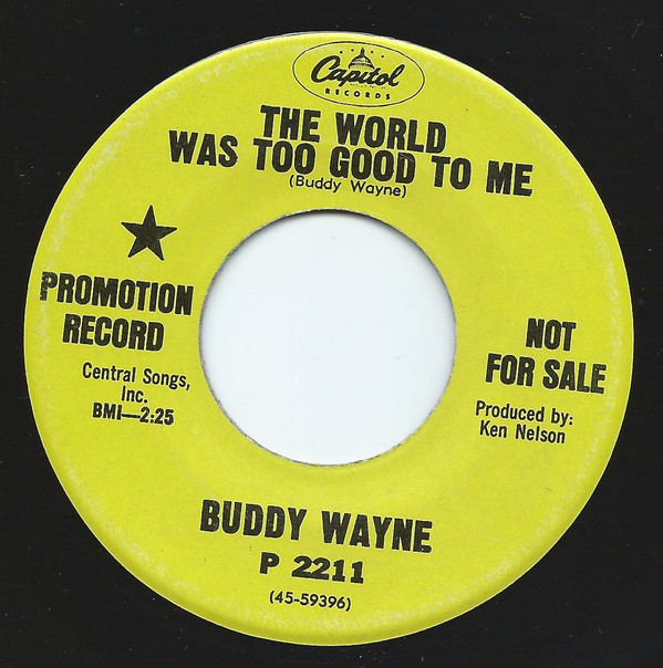 baixar álbum Buddy Wayne - The World Was Too Good To Me