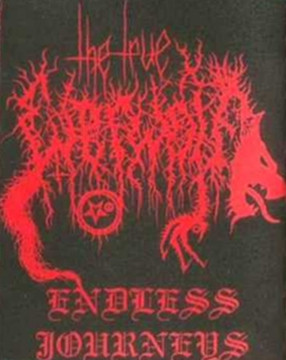 lataa albumi The True Werwolf - Endless Journeys