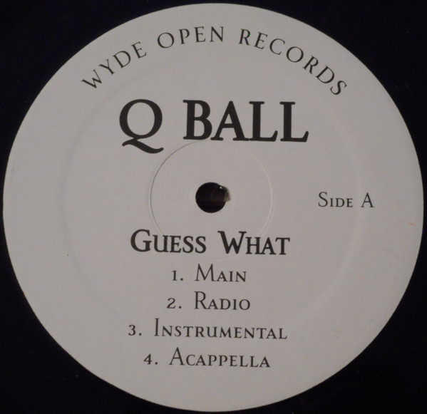 baixar álbum Q Ball - Guess What My Purfect Bitch