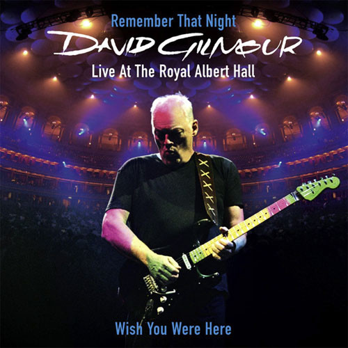 ladda ner album David Gilmour - Wish You Were Here Live At The Royal Albert Hall