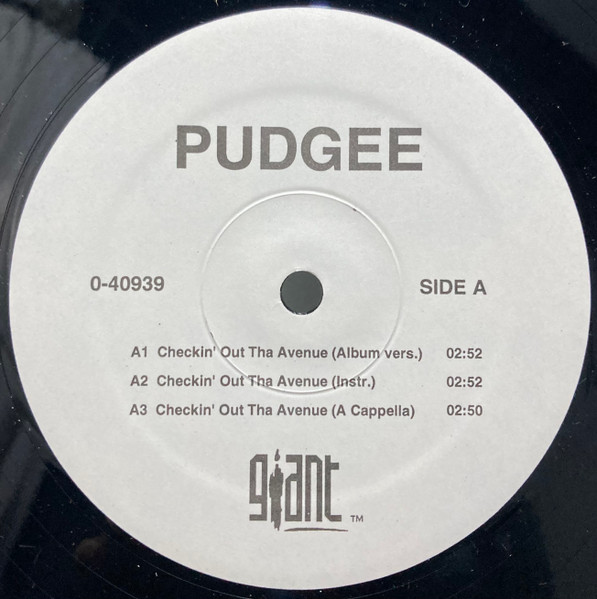 Pudgee Tha Phat Bastard – Checkin' Out The Ave. (1993, Vinyl 