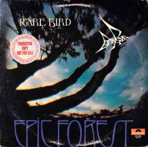 Rare Bird – Epic Forest (1972