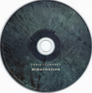 baixar álbum Terje Isungset - Hibernation