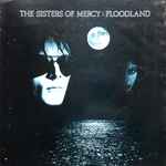 Cover of Floodland, 1987, Vinyl