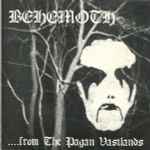 Cover of ...From The Pagan Vastlands, 1994-09-00, CD