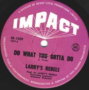 Do What You Gotta Do - Larry's Rebels