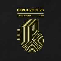 Visual Echoes - Derek Rogers