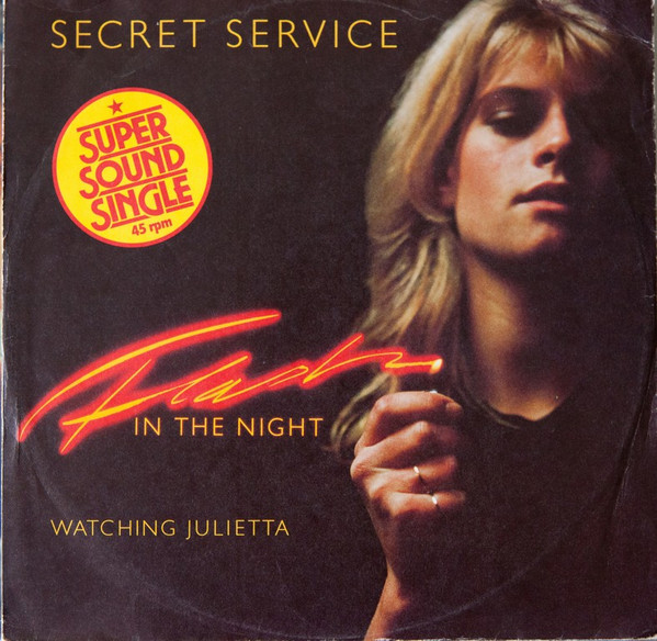 Secret service flash in the night download