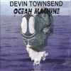 Devin Townsend - Ocean Machine (Biomech)