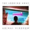 Animal Kingdom - The Looking Away