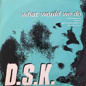 DSK - What Would We Do album cover