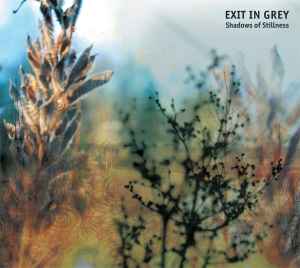 Shadows Of Stillness - Exit In Grey