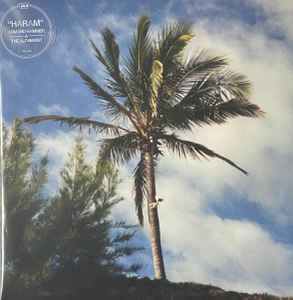 Armand Hammer & The Alchemist – Haram (2021, Clear, Vinyl) - Discogs