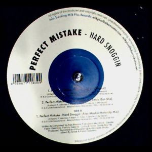 last ned album Perfect Mistake - Hard Snoggin