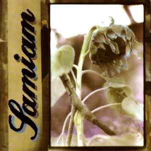 Samiam – Samiam (2023, Clear, Vinyl) - Discogs