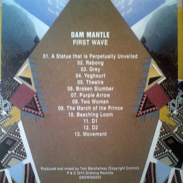 lataa albumi Dam Mantle - First Wave