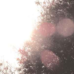 Nigori - Sunny Day Of A Childhood album cover