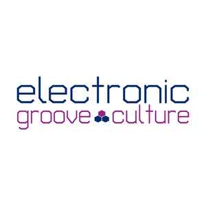 Electronic Groove Culture image