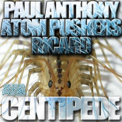 lataa albumi Paul Anthony, Atom Pushers & Ricard - Centipede