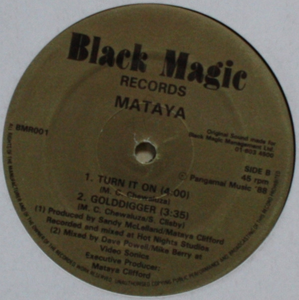 last ned album Mataya - Golddigger