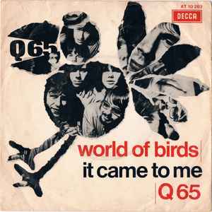 Q65 - World Of Birds / It Came To Me