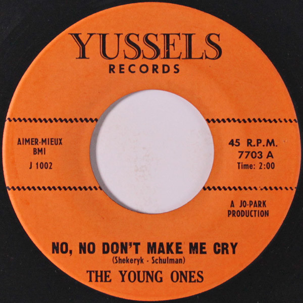 lataa albumi The Young Ones - No No Dont Make Me Cry Im In The Mood For Love